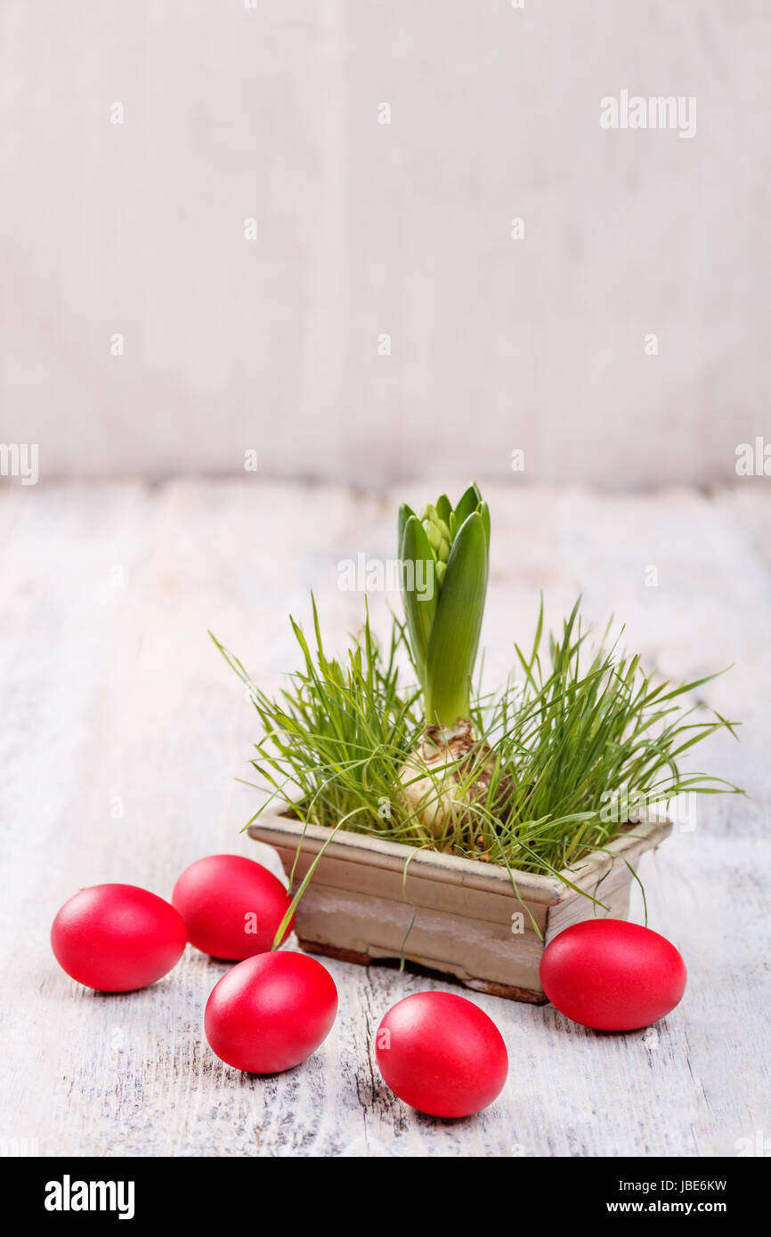 Decorazione di pasqua con giacinto e uova rosso su lavagne bianche Foto Stock