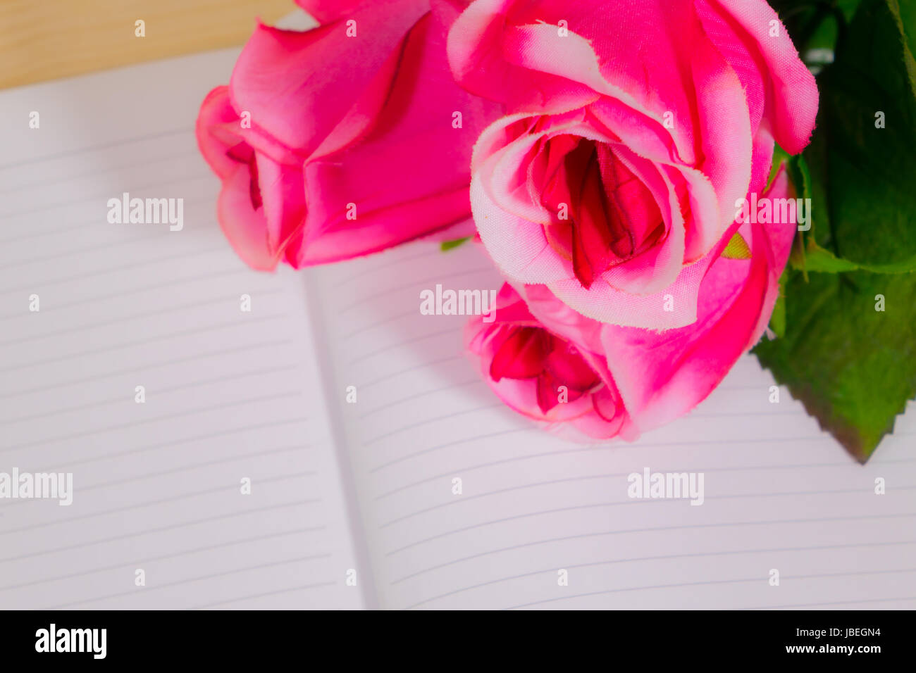 Le rose rosa sul libro note di fondo . Foto Stock