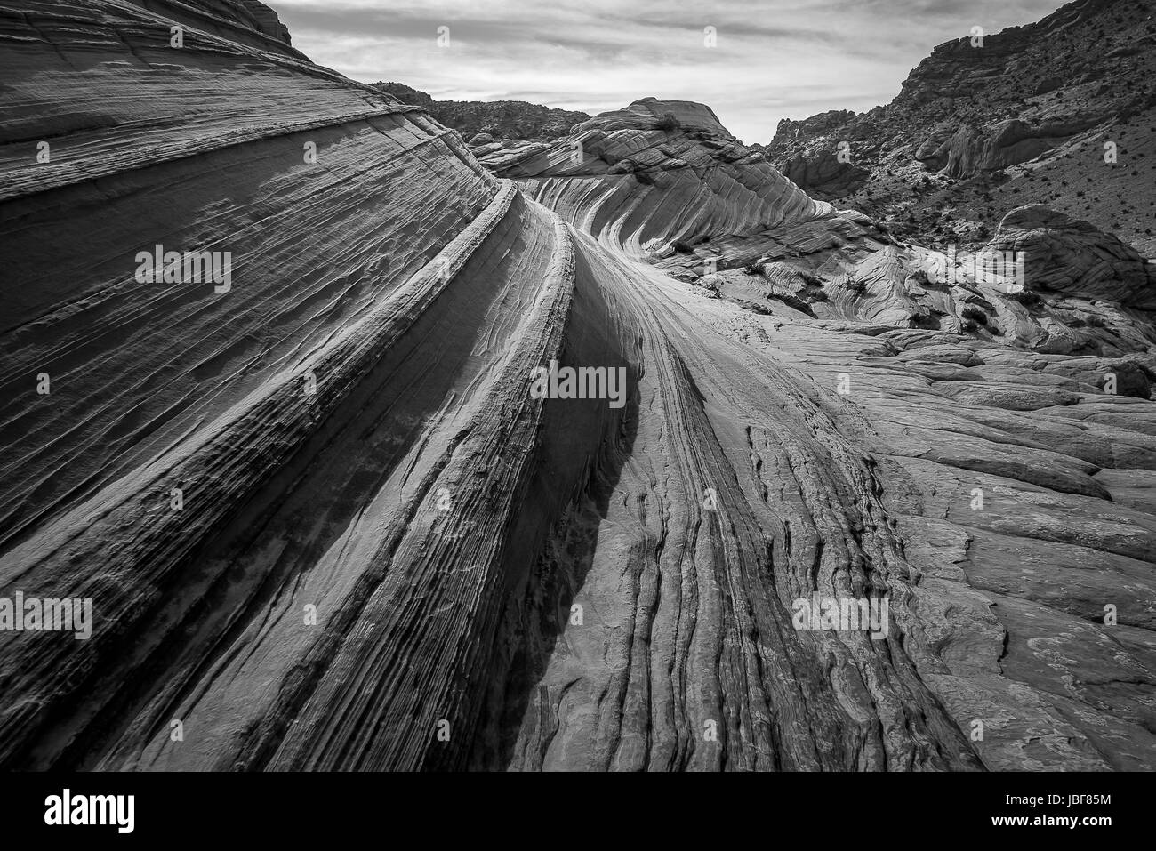 Bella fotografia di paesaggi dell'onda in Nord Coyote Buttes, Arizona Foto Stock
