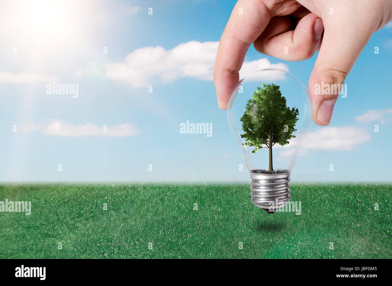 Efficienza energetica del concetto. Composizione astratta con albero in lampadina sulla natura sfondo Foto Stock