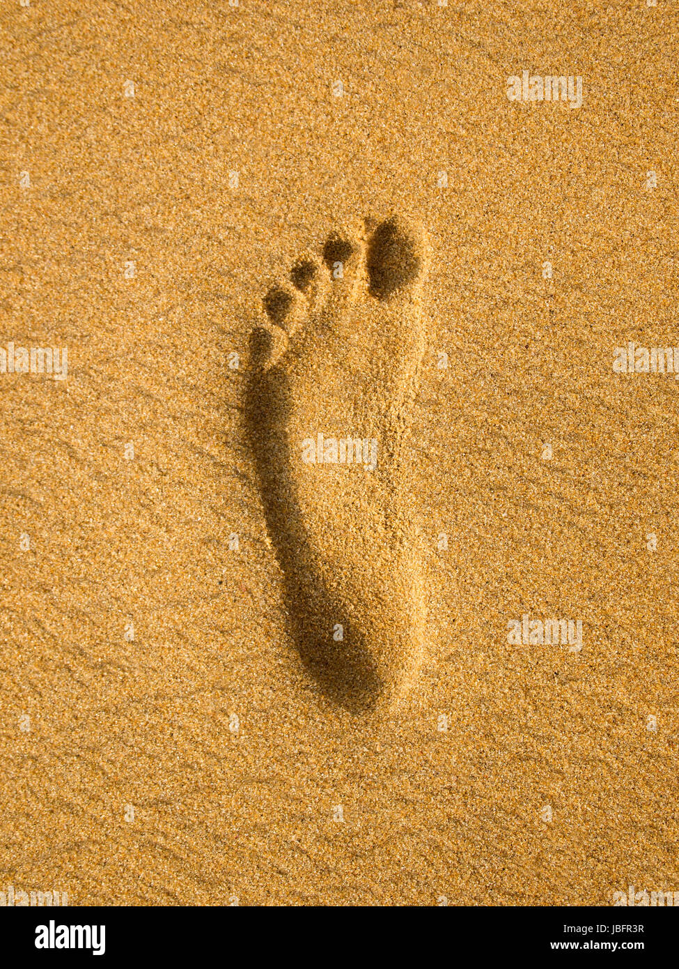 Footprint in spiaggia in Sri Lanka Foto Stock