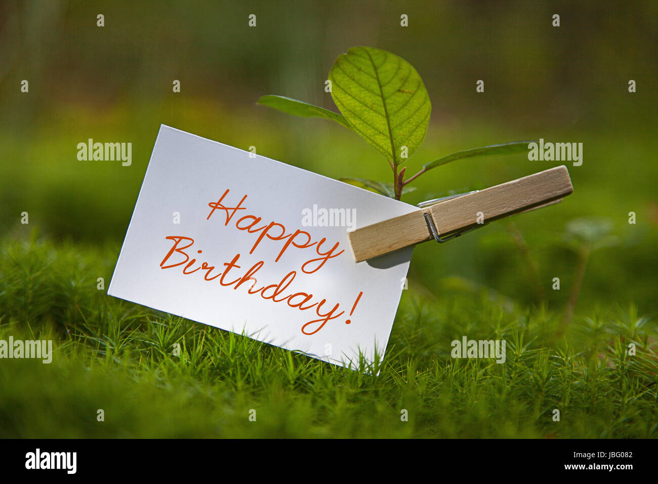 Buon Compleanno! Foto Stock