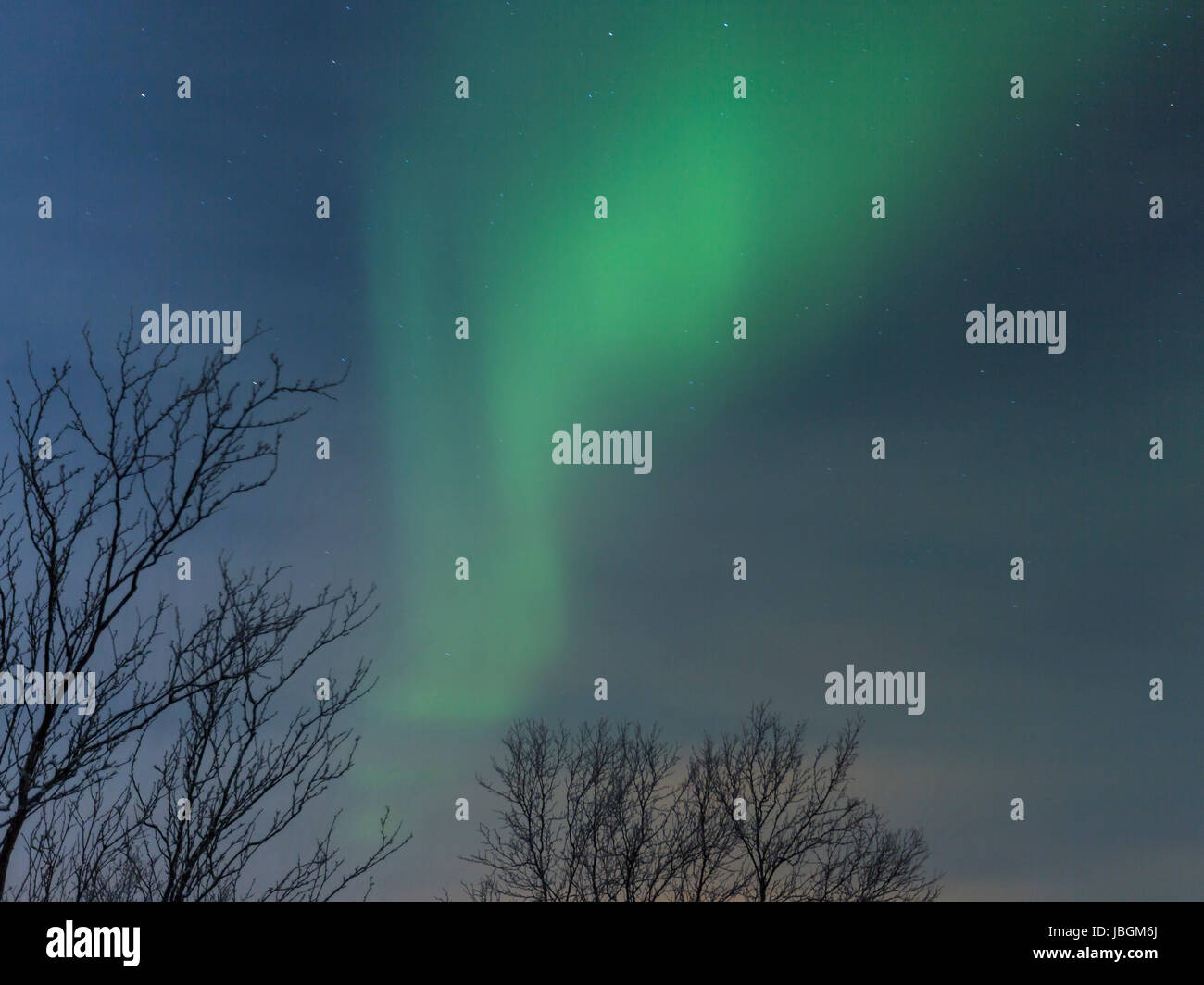 Polarlicht (Aurora Boreale in Norwegen, bei Kirkenes am vedere Rundvatnet Foto Stock