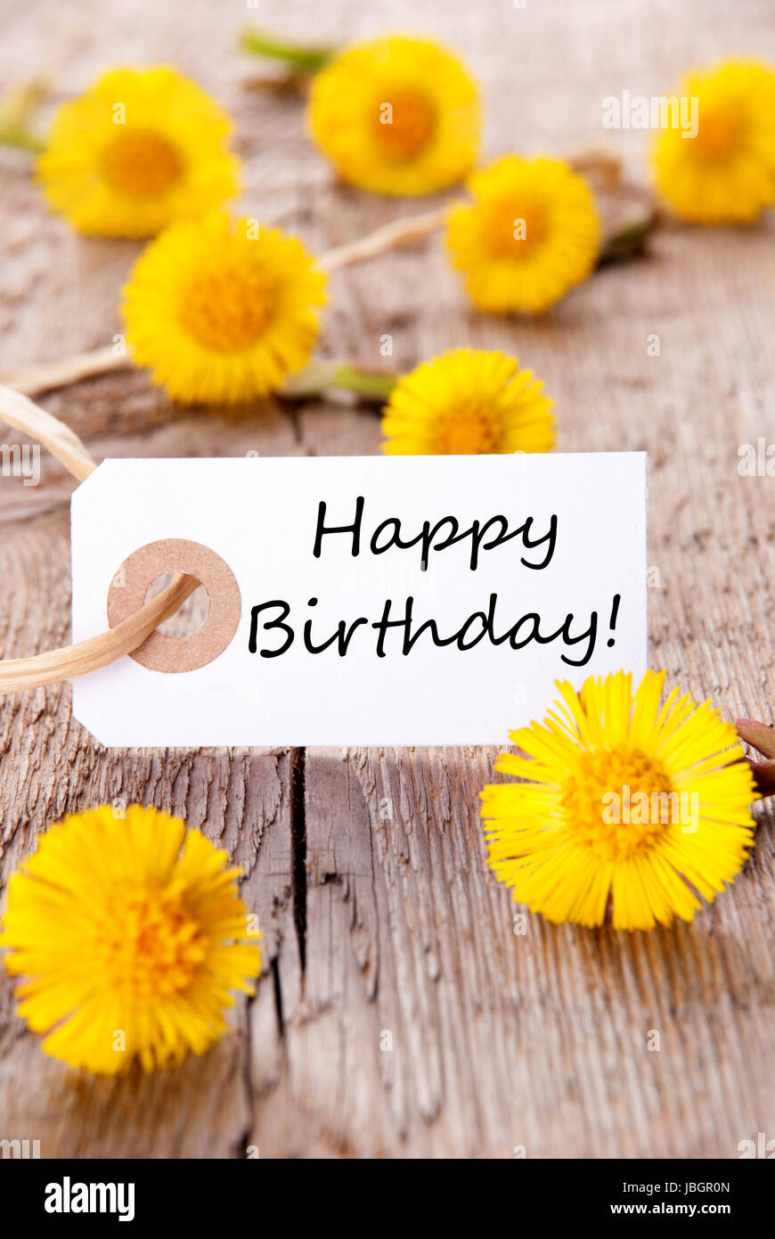 Banner con buon compleanno e molti fiori gialli Foto stock - Alamy