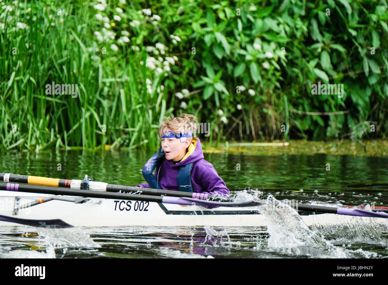 Durham, Regno Unito. 11 Giugno, 2017. Cox sulle donne del 4 equipaggio grida di incoraggiamento per il suo equipaggio. Credito: Tim Withnall/Alamy Live News Foto Stock