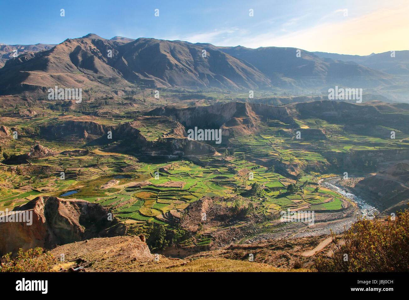 Terrazze a gradini nel Canyon del Colca in Perù. Si tratta di uno dei più profondi canyon del mondo con una profondità di 3270 metri. Foto Stock