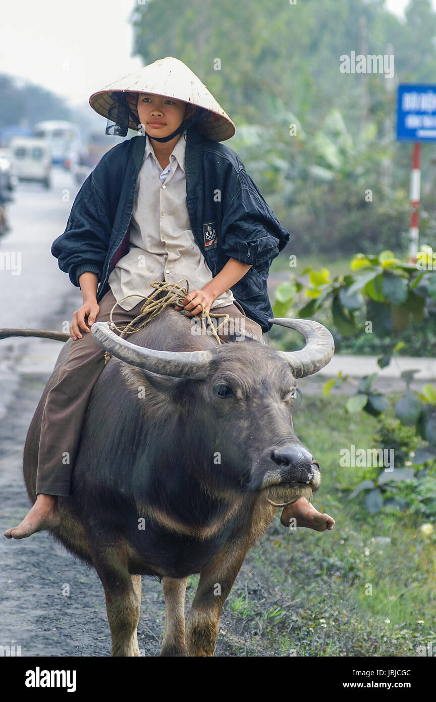 Junge Vietnamesischer mit typischem Reishut reitet auf einem Wasserbüffel Foto Stock