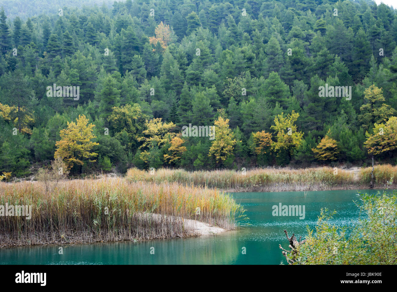 Un piccolo lago a Peloponnisos Foto Stock