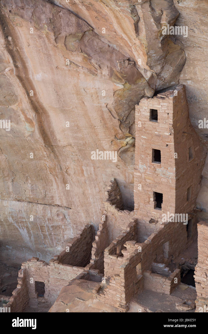 Casa Torre ruderi, Mesa Verde National Park, sito Patrimonio Mondiale dell'UNESCO, Colorado, STATI UNITI D'AMERICA Foto Stock