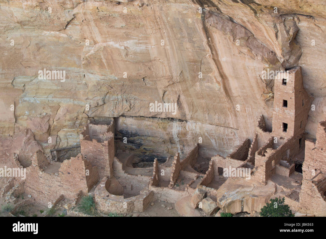 Casa Torre ruderi, Mesa Verde National Park, sito Patrimonio Mondiale dell'UNESCO, Colorado, STATI UNITI D'AMERICA Foto Stock