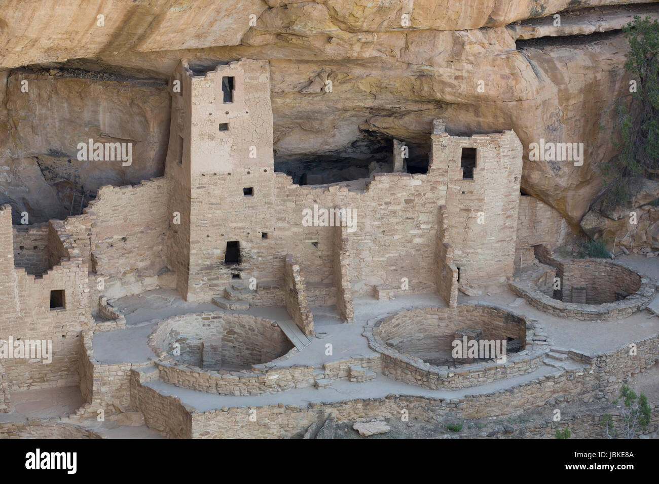 Cliff Palace rovine, Mesa Verde National Park, sito Patrimonio Mondiale dell'UNESCO, Colorado, STATI UNITI D'AMERICA Foto Stock