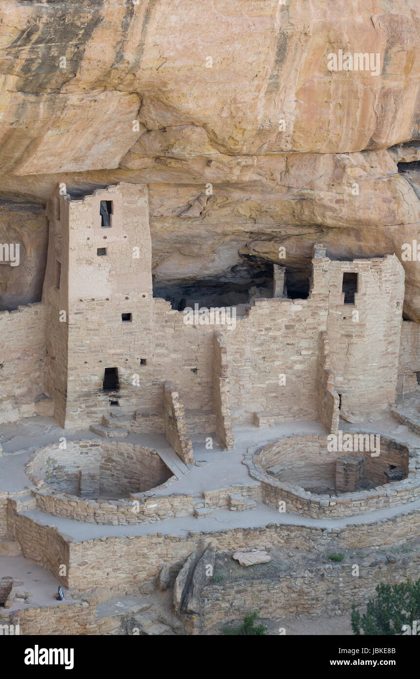 Cliff Palace rovine, Mesa Verde National Park, sito Patrimonio Mondiale dell'UNESCO, Colorado, STATI UNITI D'AMERICA Foto Stock