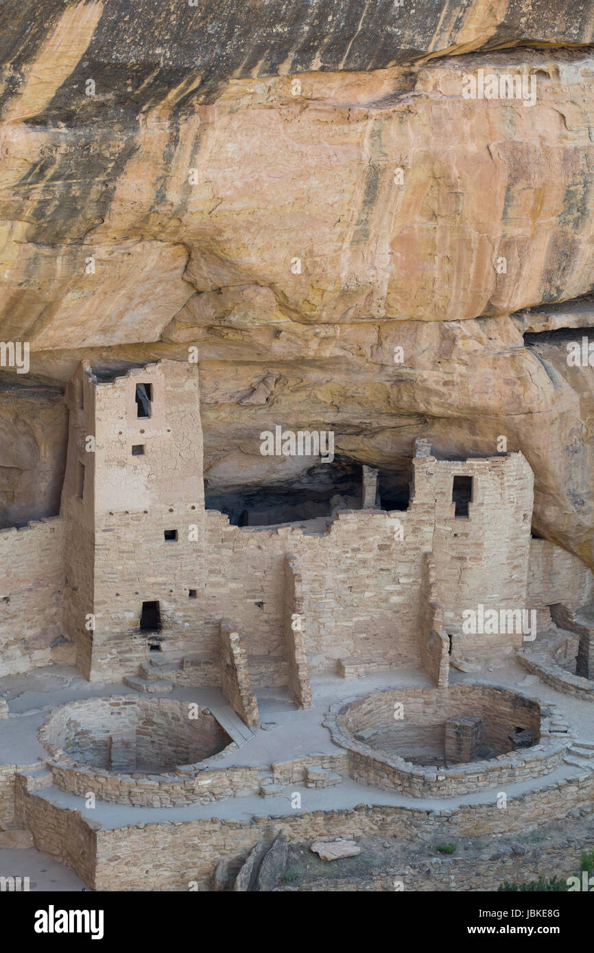 Cliff Palace rovine, Mesa Verde National Park, sito Patrimonio Mondiale dell'UNESCO, Colorado, STATI UNITI D'AMERICA Foto Stock