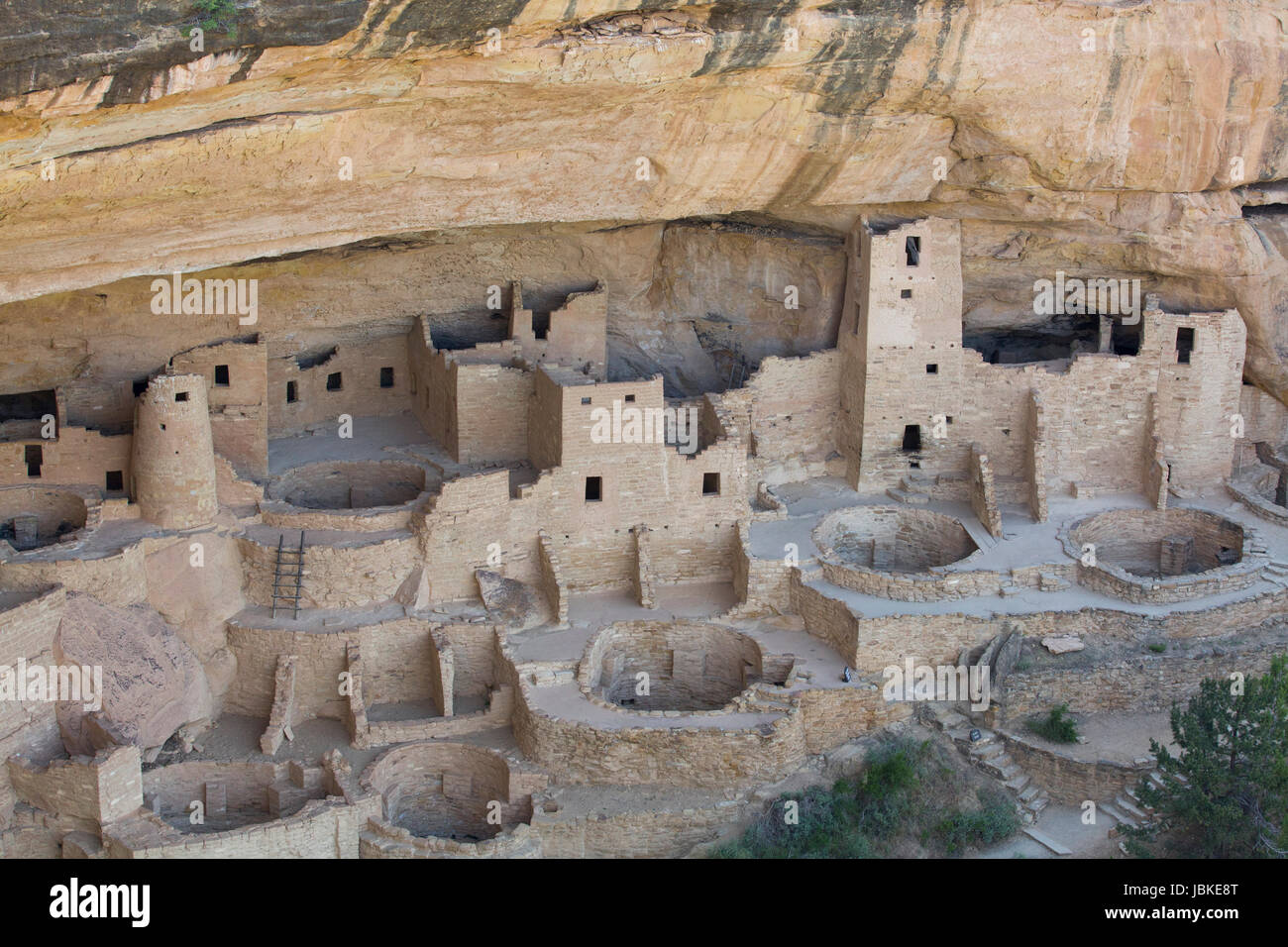 Cliff Palace rovine, Mesa Verde National Park, sito Patrimonio Mondiale dell'UNESCO, Colorado, STATI UNITI D'AMERICA Foto Stock