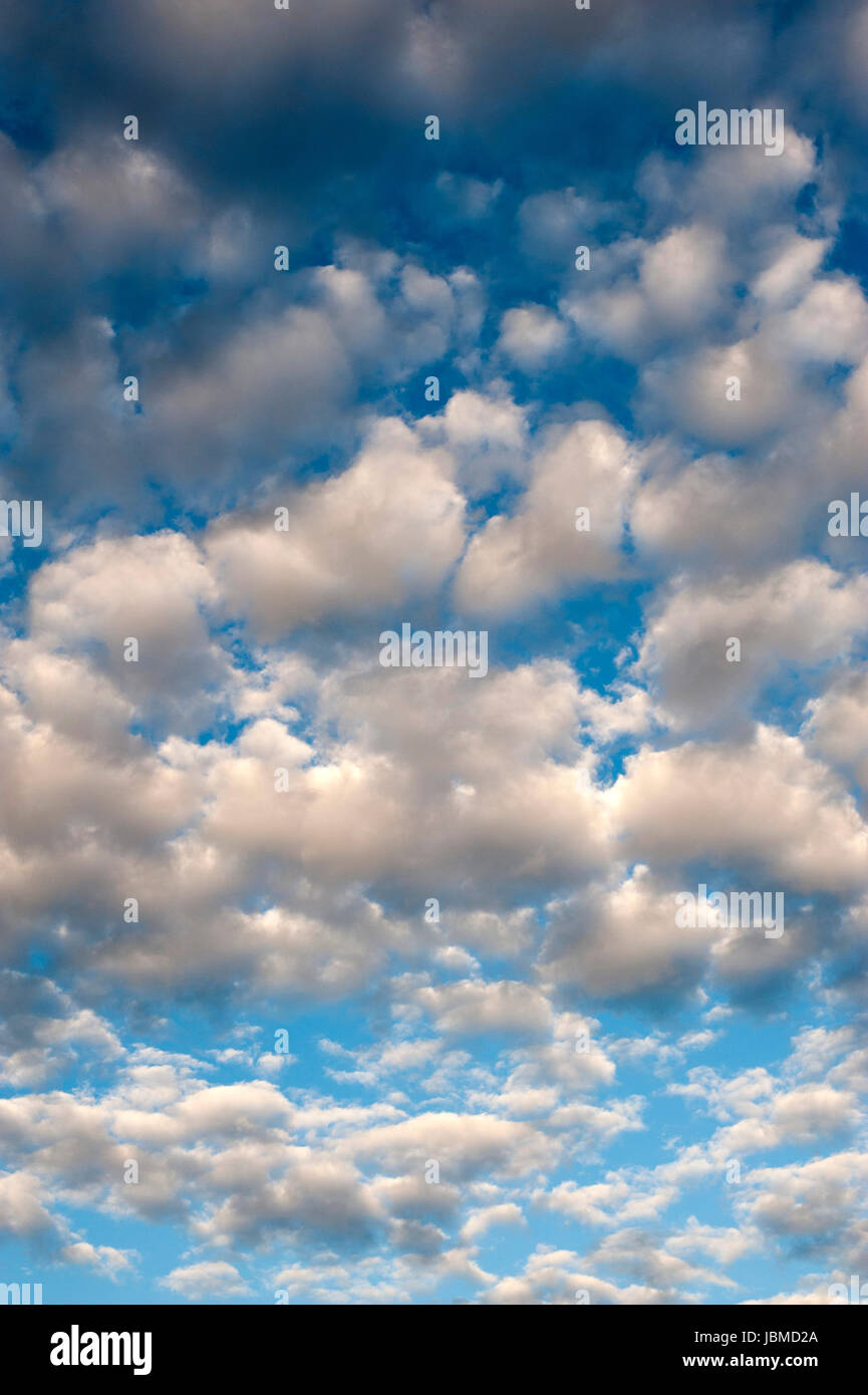 Cumulus Fractus nuvole con modelli di nuvole più piccole Foto Stock
