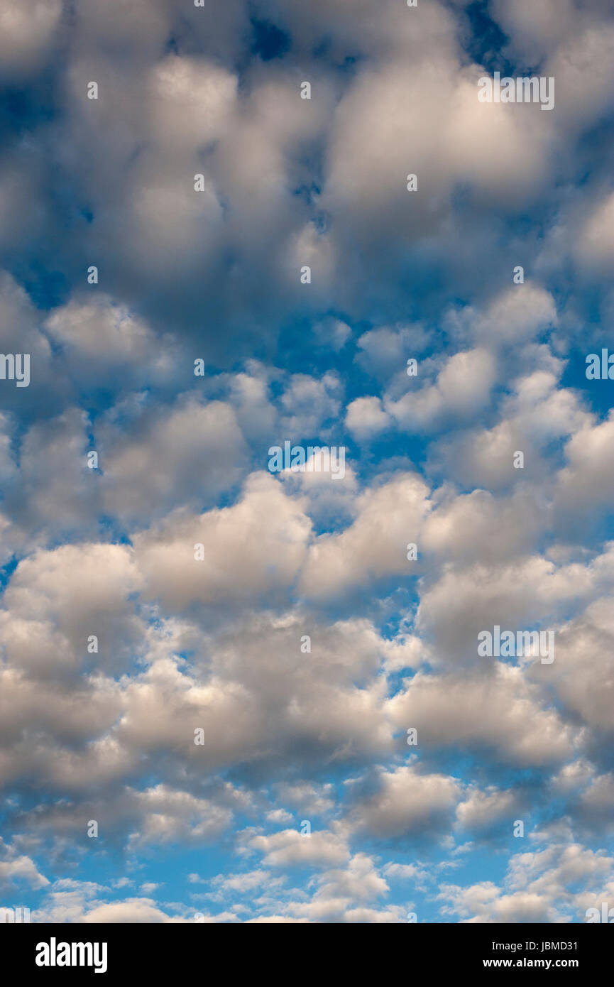 Cumulus Fractus nuvole con modelli di nuvole più piccole Foto Stock