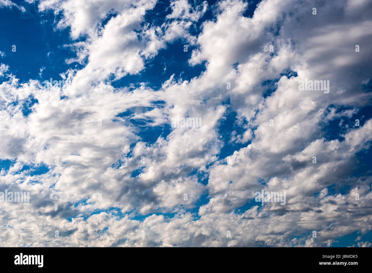 Cumulus fractus nuvole con cielo blu, nuvole di bel tempo Foto Stock