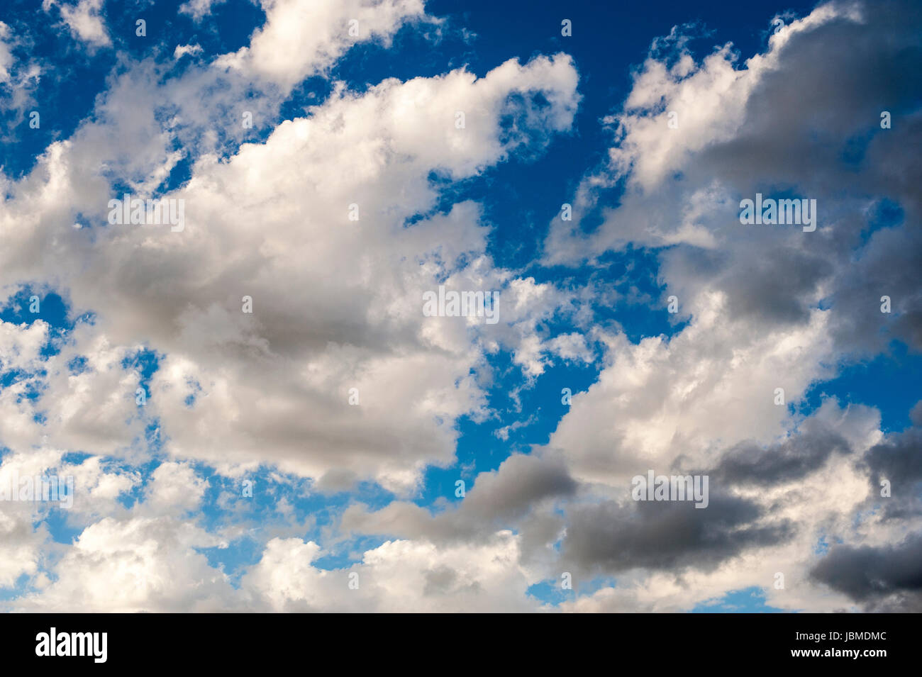 Cumulus fractus Ccouds con cielo blu, fair weather Nuvole Foto Stock