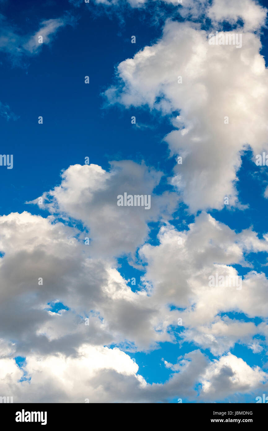 Cumulus fractus Ccouds con cielo blu, fair weather Nuvole Foto Stock