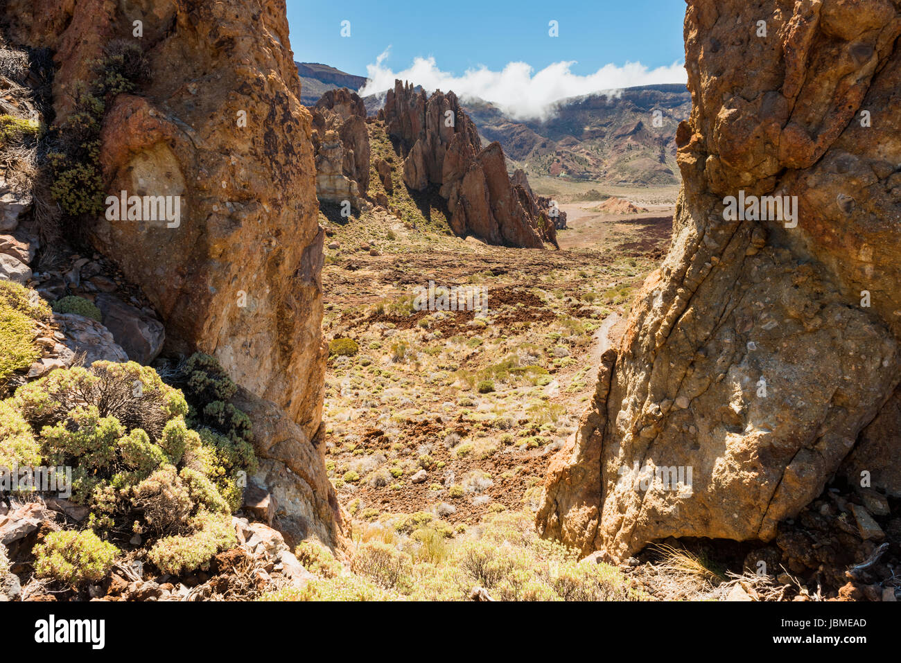 Paesaggio di lava vulcano Teide Tenerife Canarie Foto Stock