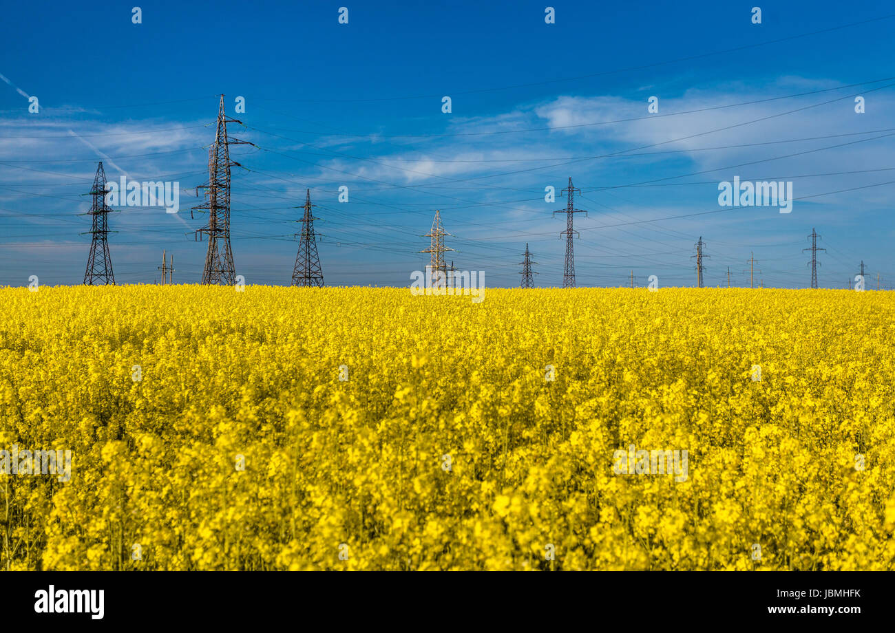 Foto esterni delle torri elettrico nel colza contro il cielo blu Foto Stock