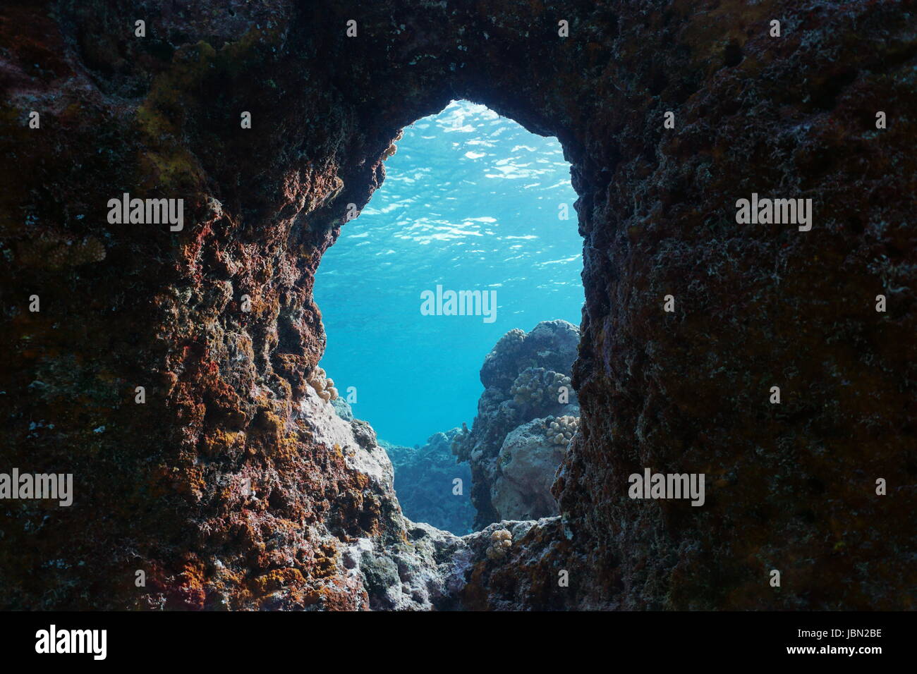 Un foro nella roccia subacquea oceano pacifico, scenario naturale, barriera corallina esterna dell'Isola di Moorea, Polinesia francese, Oceania Foto Stock