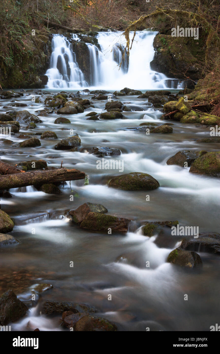 Crystal Falls, McDowell Creek County Park Foto Stock