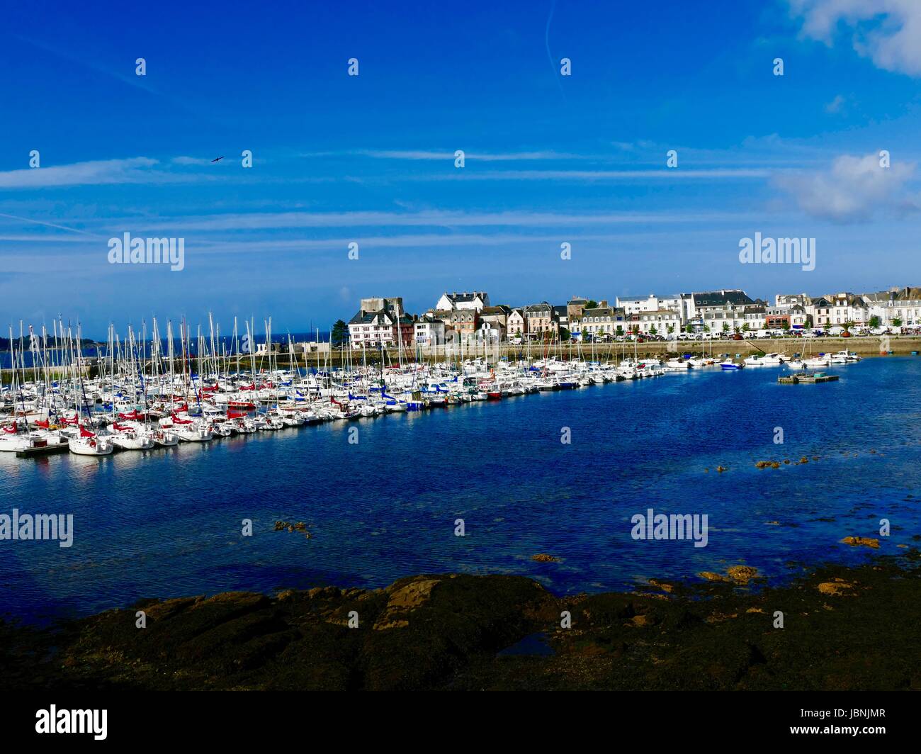 Concarneau's Port de Plaisance come si vede dalla vecchia città fortificata con case in background. Profondo blu dell'acqua. Azzurro cielo. Concarneau, Francia. Foto Stock