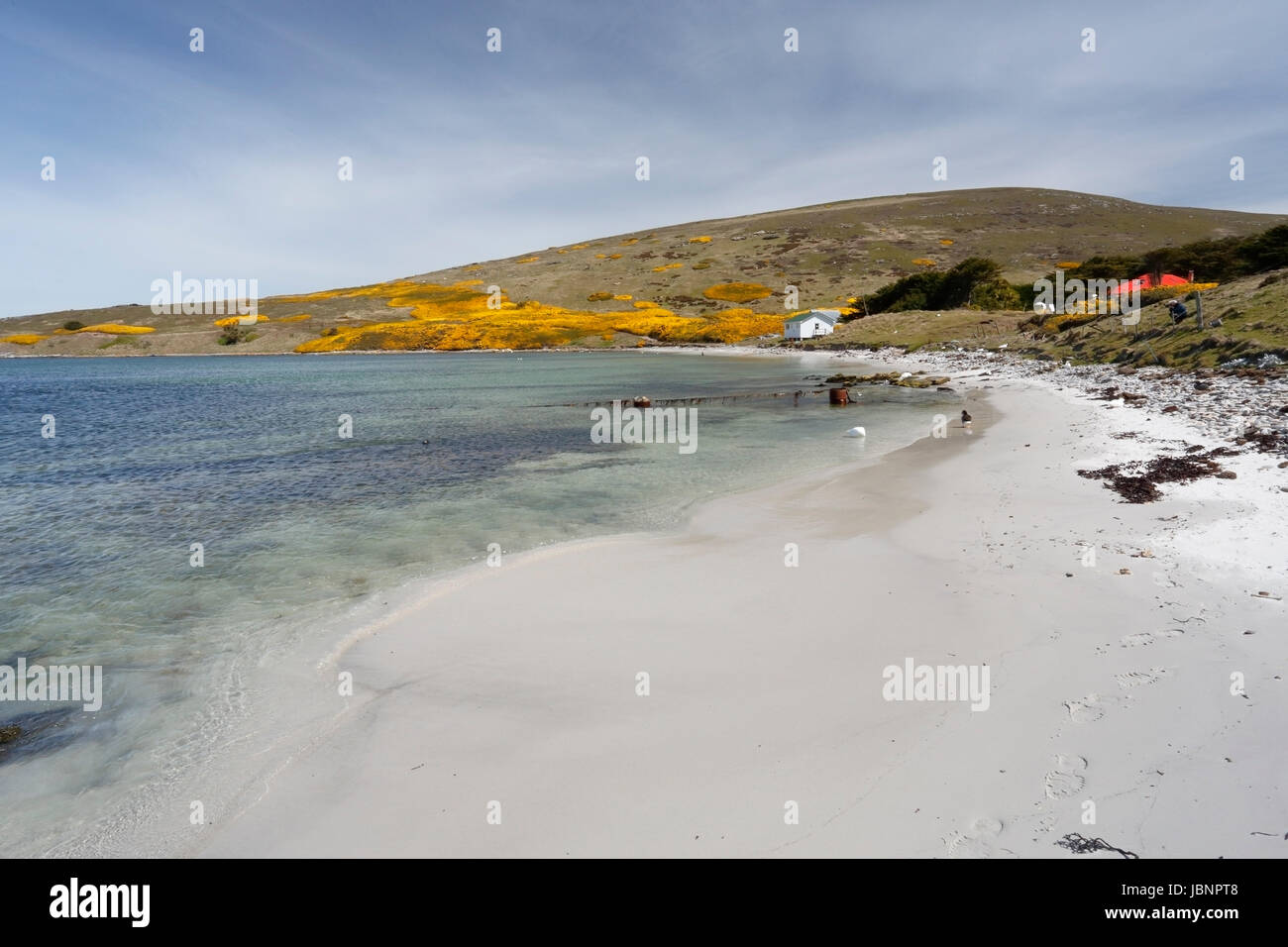 Vista della Baia di Isola di carcassa nelle Isole Falkland Foto Stock