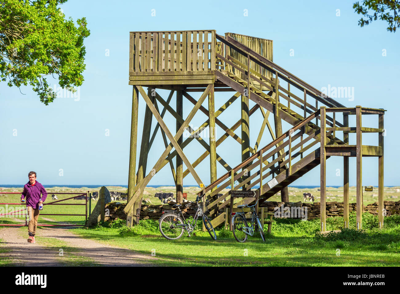 Ottenby, Svezia - 27 Maggio 2017: ambientale documentario. Grande torre birdwatching in legno con le biciclette parcheggiate al di sotto. Persona che cammina verso Foto Stock