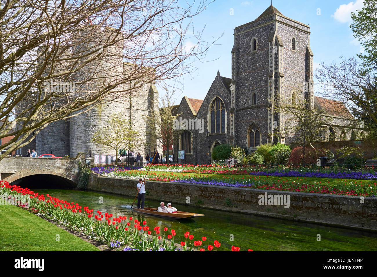 Punting sul fiume stour Canterbury Kent REGNO UNITO con la Westgate towers dietro a sinistra e Guildhall a destra Foto Stock