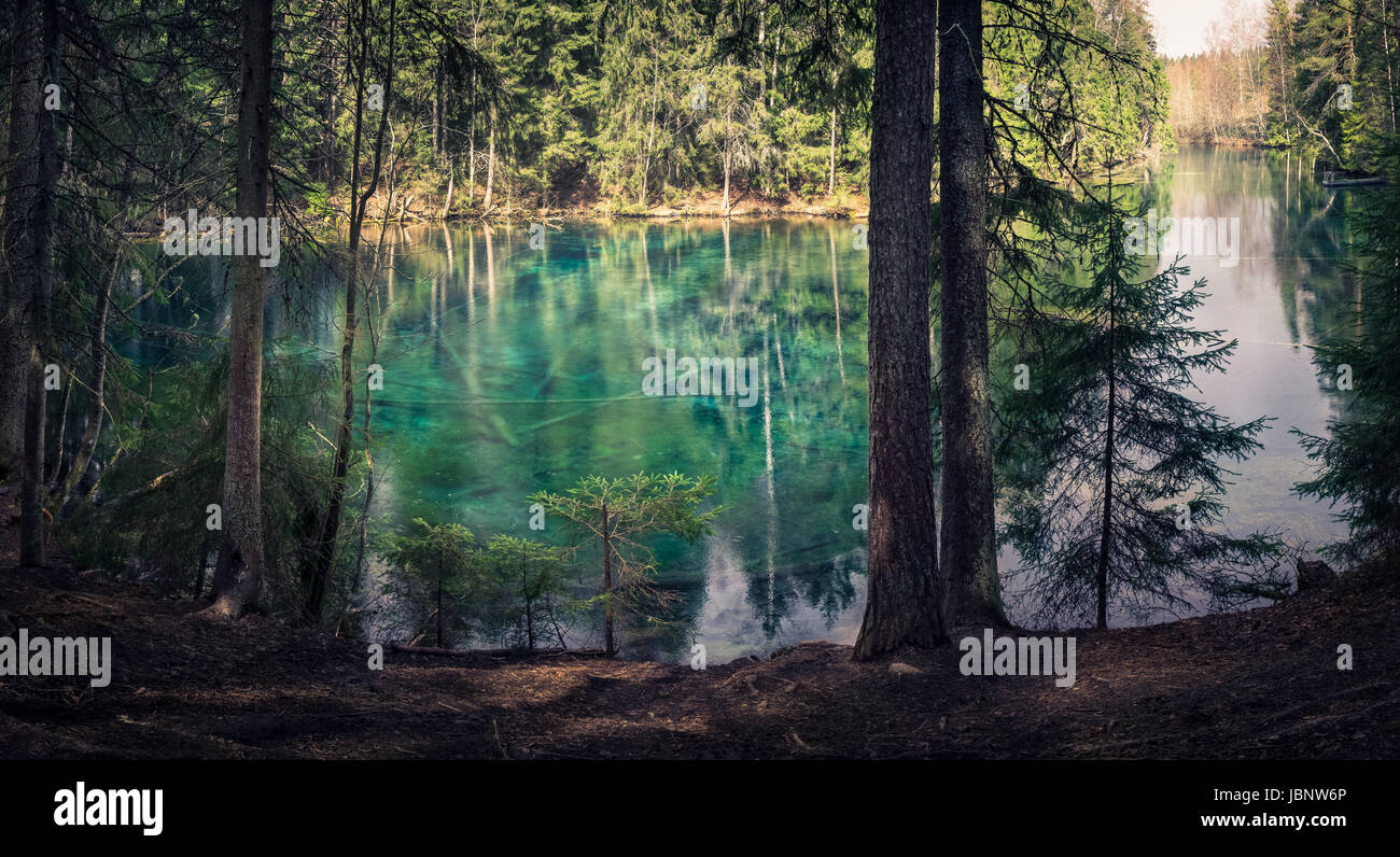 Primavera naturale nella Finlandia meridionale. L'acqua è così chiaro che si tratta di colore turchese. L'acqua può essere bere direttamente dalla molla. Foto Stock