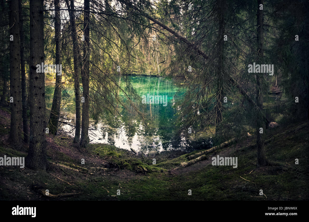 Primavera naturale nella Finlandia meridionale. L'acqua è così chiaro che si tratta di colore turchese. L'acqua può essere bere direttamente dalla molla. Foto Stock