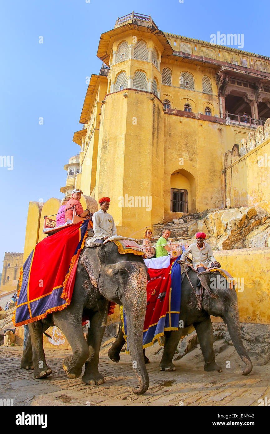 Decorate elefanti andando sul sentiero acciottolato a Forte Amber vicino a Jaipur, Rajasthan, India. Corse di elefanti sono popolare attrazione turistica in ambra Foto Stock