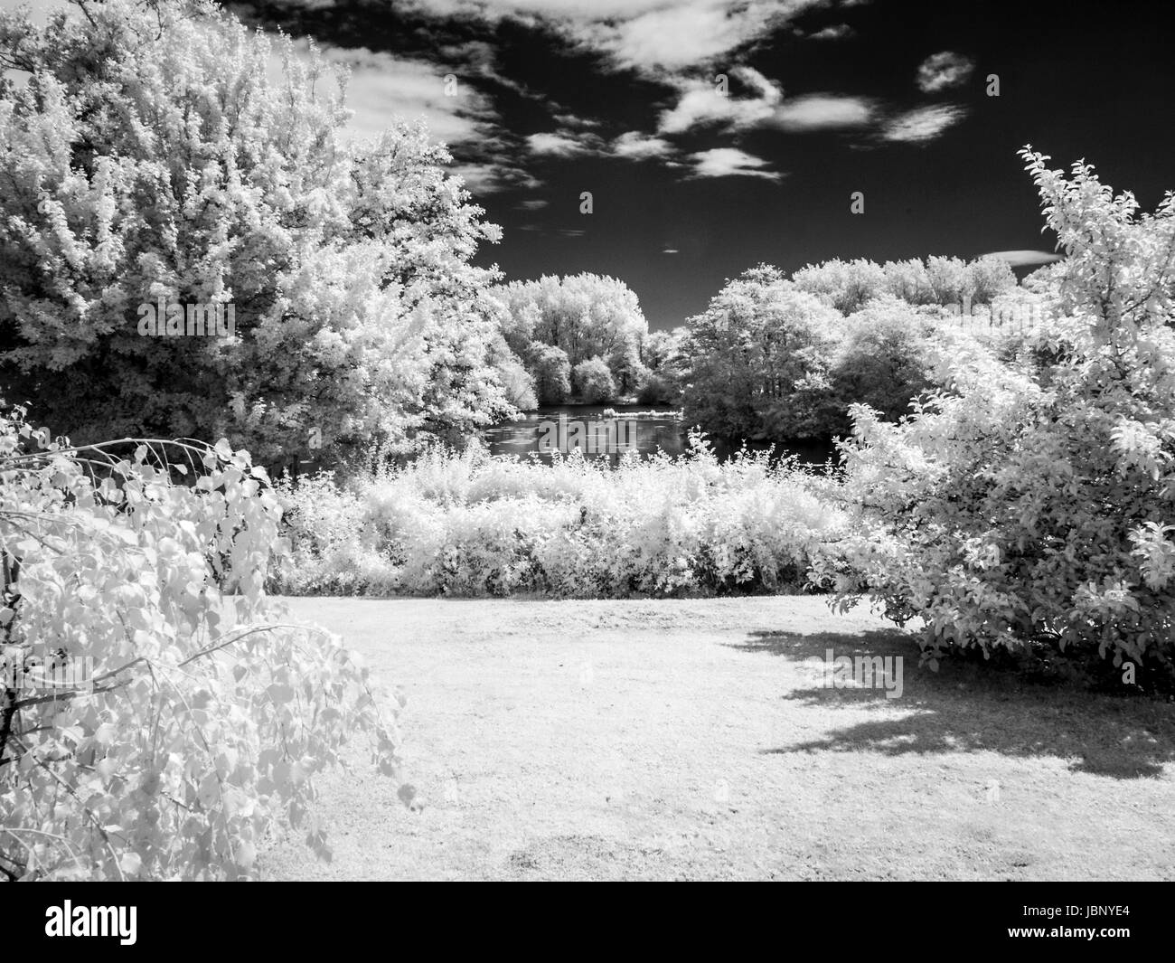 Una termocamera ad infrarossi immagine monocromatica di un giardino e un piccolo lago in estate. Foto Stock