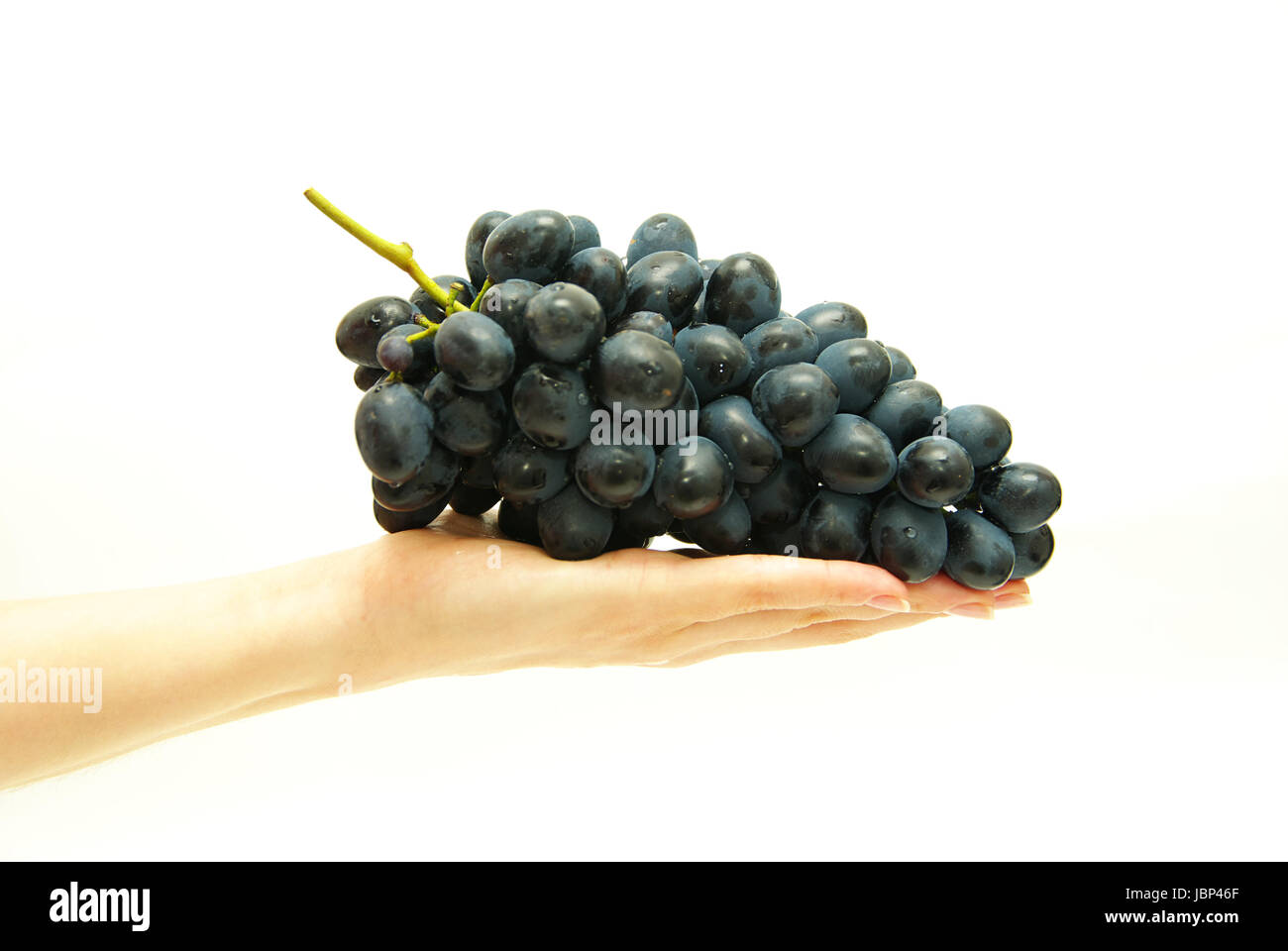 Grappolo di uva in mano femmina Foto Stock