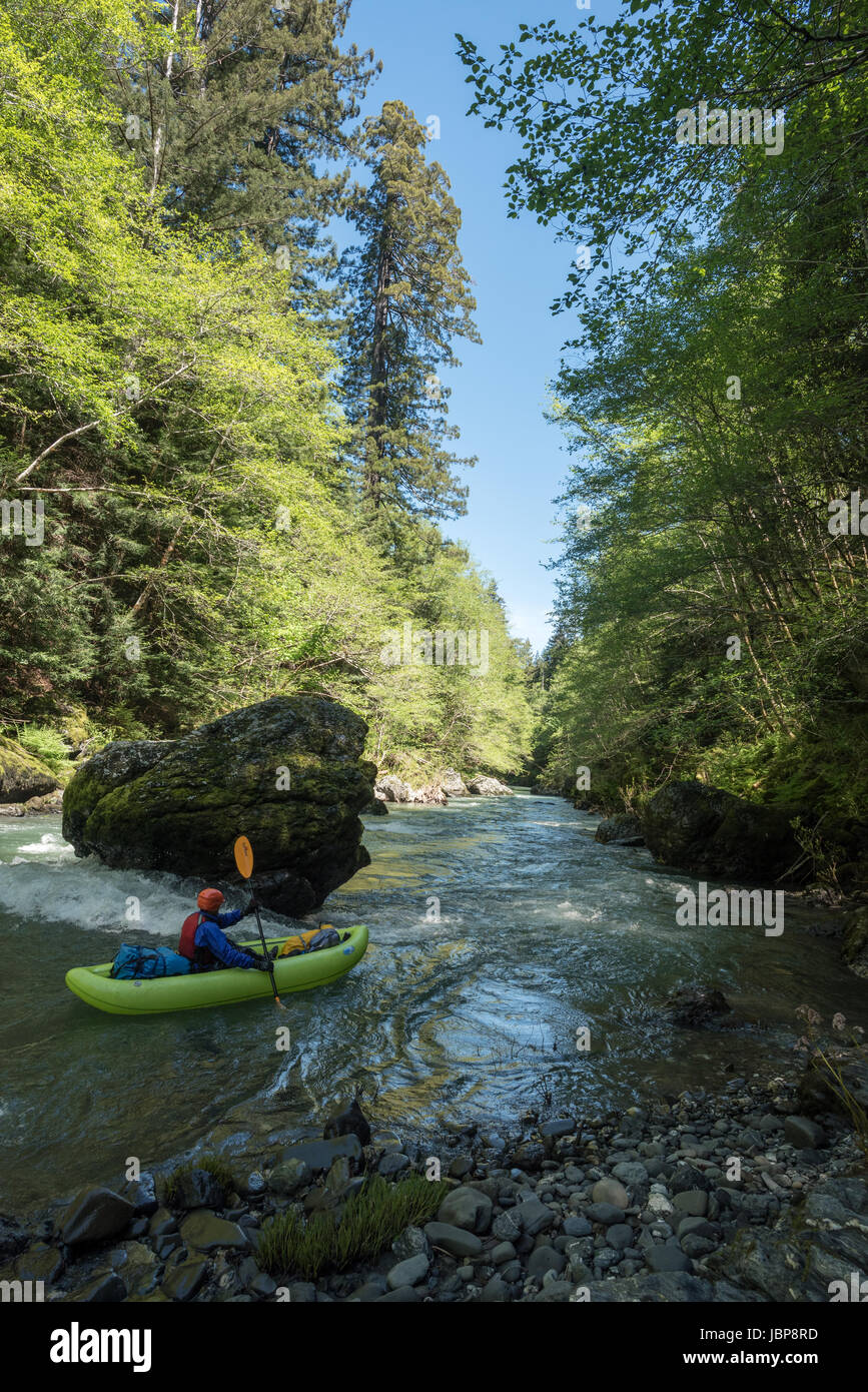 Pagaiando un kayak gonfiabili giù Redwood Creek nel Parco Nazionale di Redwood in California. Foto Stock