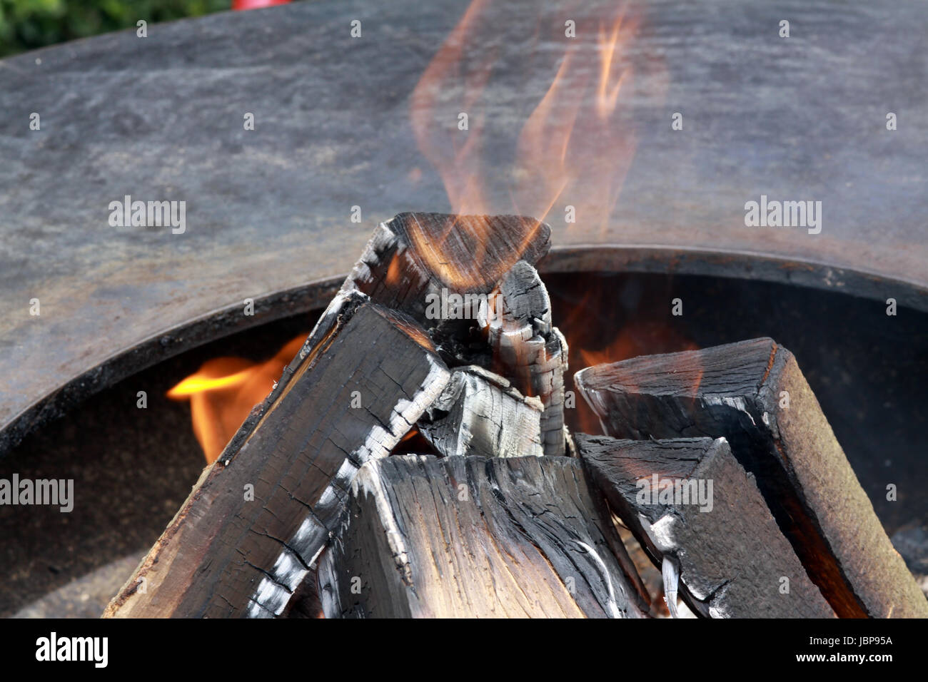 Holzscheite auf einer Feuerstelle Foto Stock