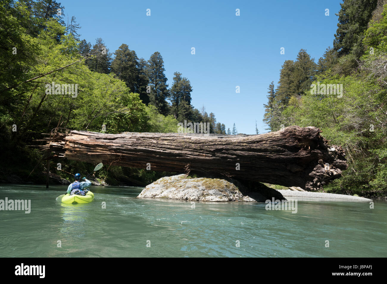 Pagaiando un kayak gonfiabili giù Redwood Creek nel Parco Nazionale di Redwood in California.sa Foto Stock