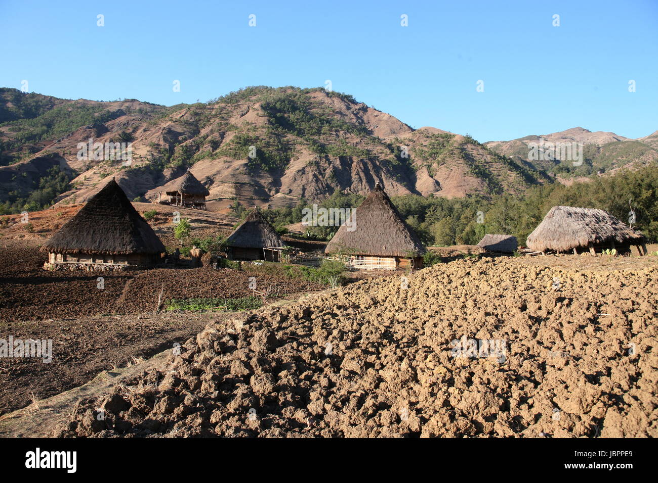 Die Berglandschaft beim Bergdorf Maubisse suedlich von Dili in Timor Ost auf der in zwei getrennten Insel Timor nell Asien. Foto Stock
