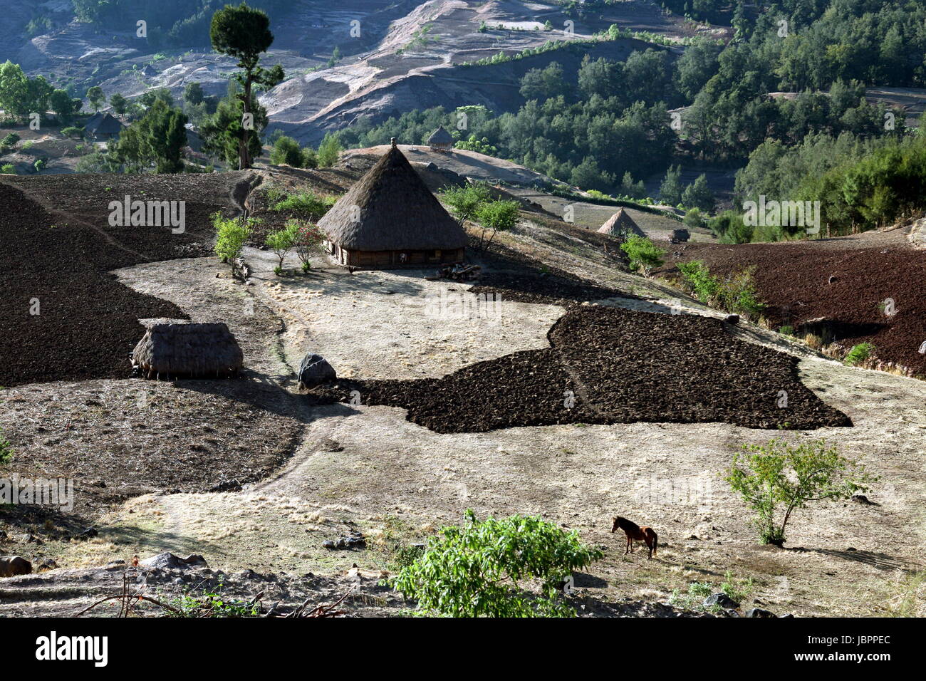 Die Berglandschaft beim Bergdorf Maubisse suedlich von Dili in Timor Ost auf der in zwei getrennten Insel Timor nell Asien. Foto Stock