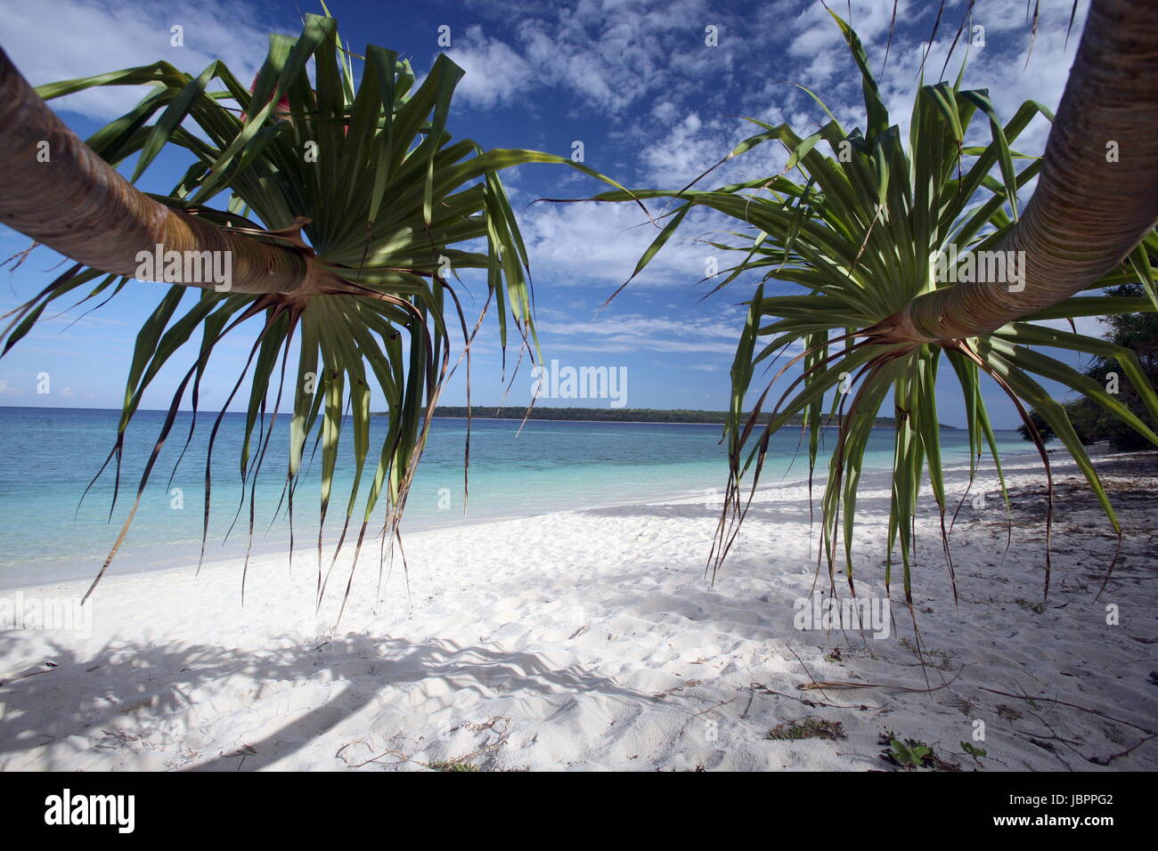 Asien, Suedostasien, Ost Timor, Timor Est Timor, Ostkueste, Tutuala, Insel. Jaco Isola, Strand, Landschaft Der Traumstrand auf der Insel Jaco isola im Osten von Ost in Timor Suedost Asien. (Urs Flueeler) Foto Stock