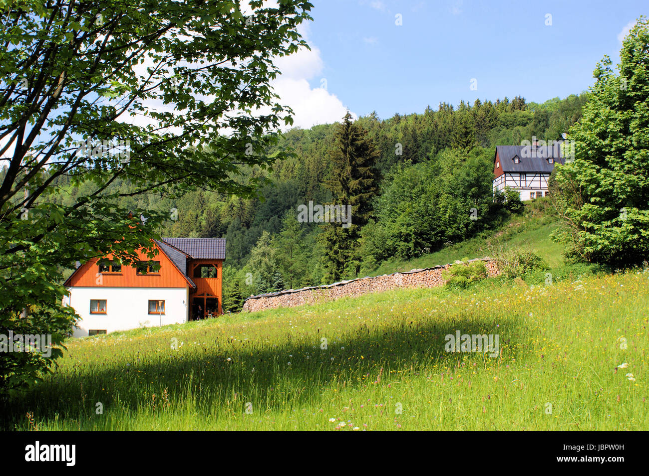 Idyllische Landschaft im Erzgebirge in Sachsen, Deutschland; Häuser Am Rande des Waldes; blauer Himmel und weiße Wolken idillico paesaggio nei Monti Metalliferi in Sassonia, Germania; case sul bordo della foresta; cielo blu e nuvole bianche Foto Stock