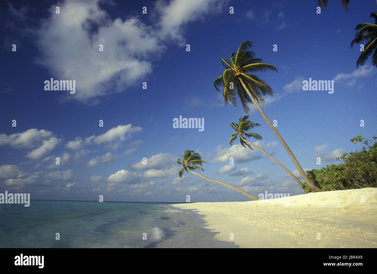 Der Traumstrand mit Offenburg und weissem Sand an der Insel Velavaru im atollo Southmale auf den isole der Malediven im Indischen Ozean. Foto Stock