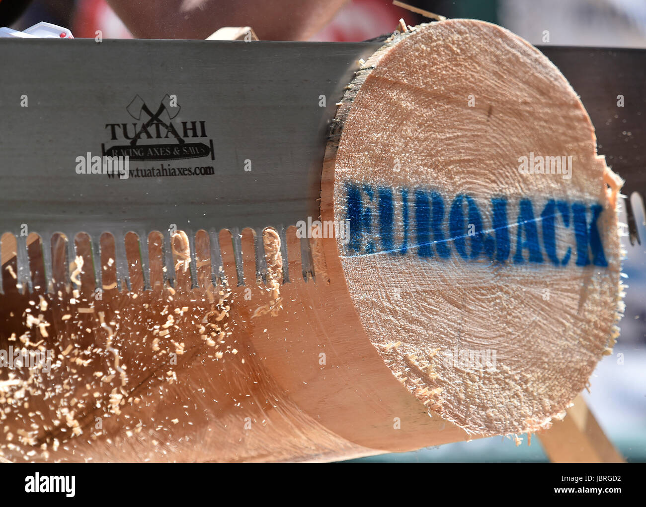 Jihlava, Repubblica Ceca. 11 Giugno, 2017. Lumberjack in azione durante il singolo Eurojack buck 2017 international boscaioli' contest in Jihlava, Repubblica ceca, 11 giugno 2017. Credito: Lubos Pavlicek/CTK foto/Alamy Live News Foto Stock