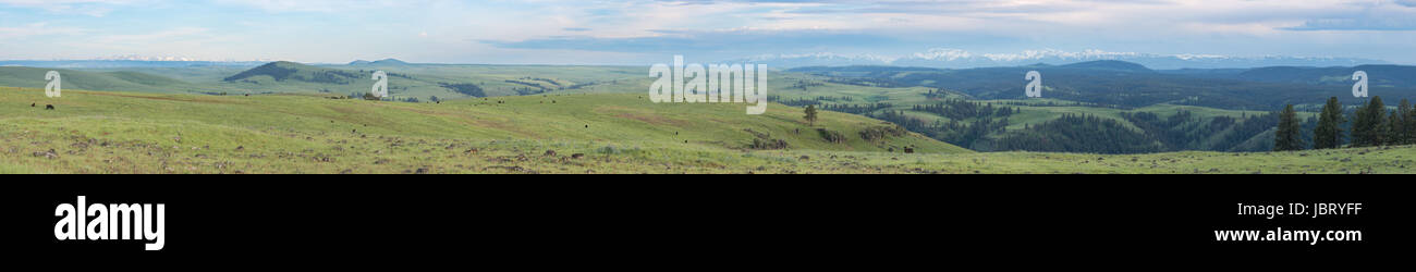 Vista panoramica del nord-est dell'Oregon Zumwalt Prairie, Wallowa montagne e Idaho sette demoni montagne. Foto Stock