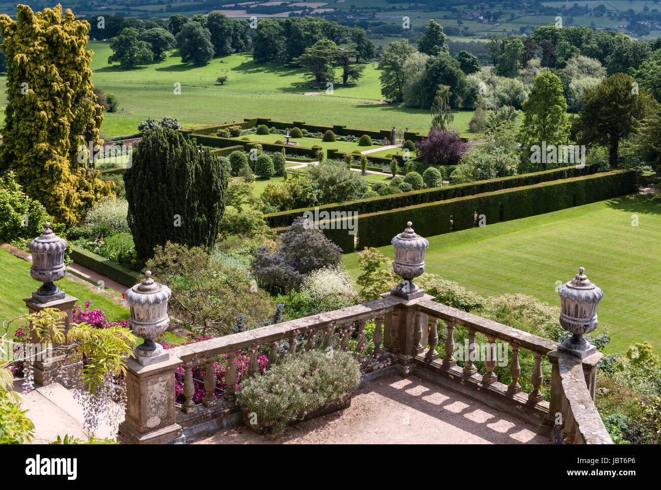 Powis Castle Gardens, Welshpool, Wales, Regno Unito. Questo 17c giardino barocco è famosa per la sua enorme topiaria da antichi yew alberi e siepi Foto Stock