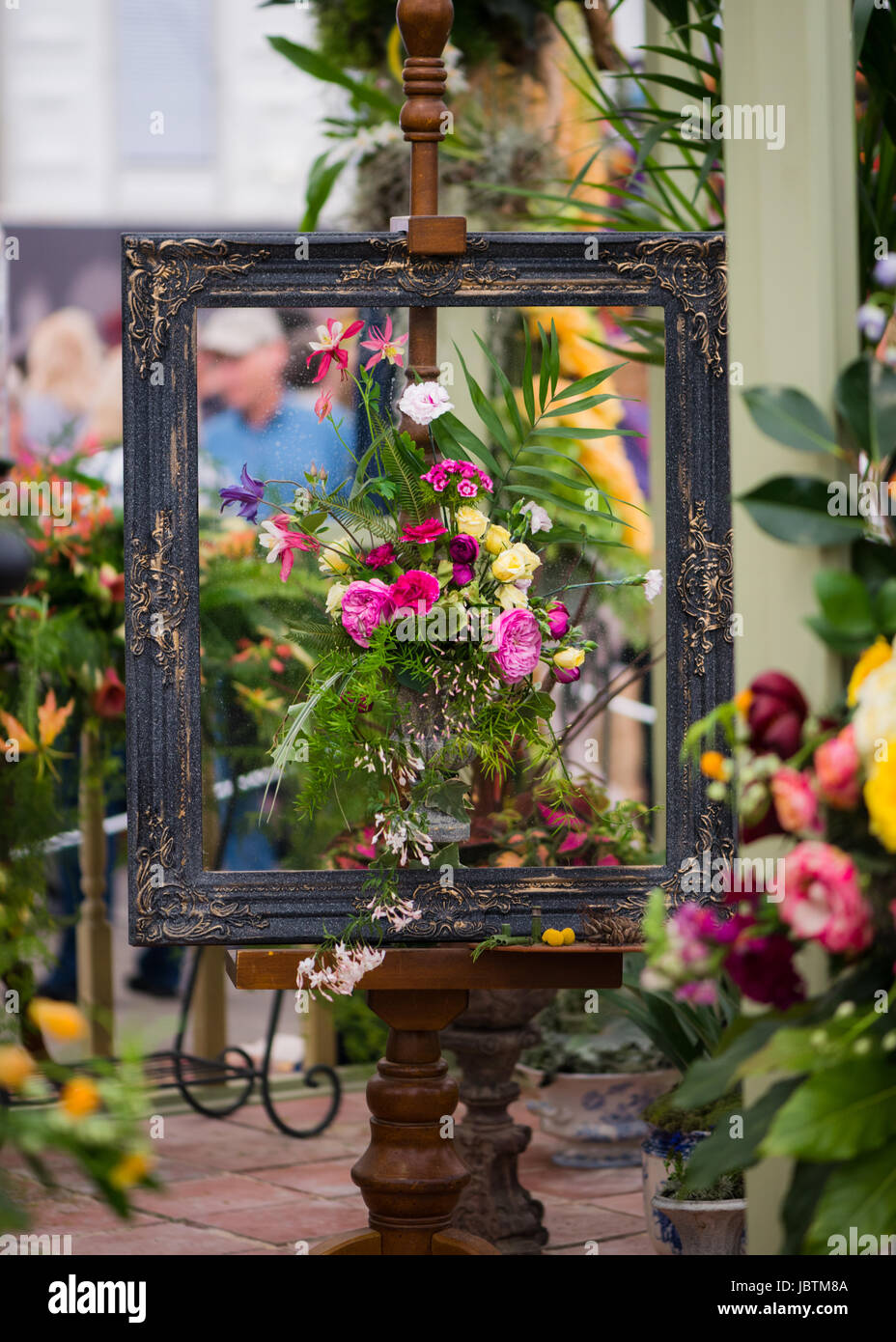 NAFAS Chelsea Flower Show 2016 Foto Stock