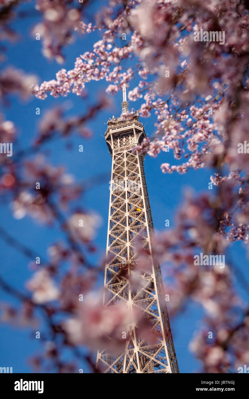 Eiffelturm a Parigi wahrzeichen vor blauem himmel im frühling architektur aussicht Foto Stock