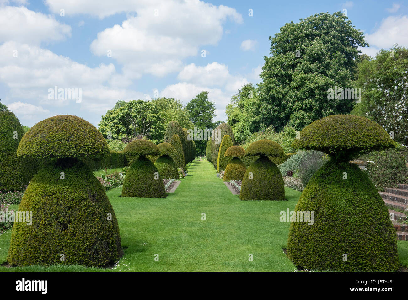 Inghilterra,, Hampshire, Alresford,, Hinton Ampner, topiaria da Foto Stock